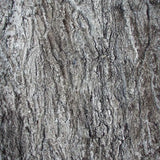 Buy Artificial Fake Maple or Oak Tree Bark Silver Grey