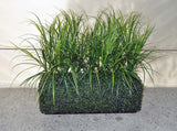 Artificial PVC  Boxwood Planter with PVC Grasses Silk Plants Canada
