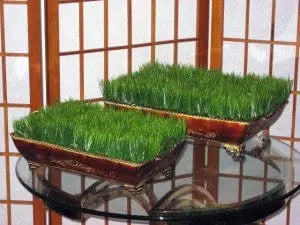 Artificial PVC Grasses in Deco Container Set of 2 Silk Plants Canada