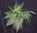 23 inch Artificial PVC Mountain Fern for Indoor and Outdoor
