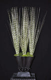 Artificial PVC Zebra Grass Arranged in Metal Container Silk Plants Canada