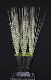 Artificial PVC Zebra Grass Arranged in Metal Container Silk Plants Canada