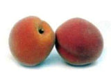 3 inch Artificial Peach in Natural Color | Silk Plants Canada