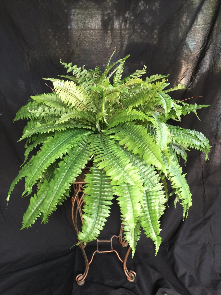 Artificial Silk Boston Fern x 2 plant per pot Buy Now