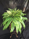 Artificial Silk Boston Fern x 2 plant per pot | Silk Plants Canada