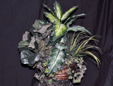 Artificial Silk Dieffenbachia Fiddle Leaf Fig | Silk Plants Canada