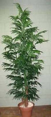 Artificial Silk Neanthe Bella Palm Tree Deluxe Silk Plants Canada