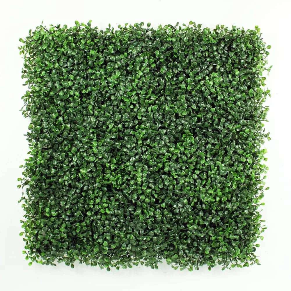 Lifelike 20" Boxwood Privacy Panel - UV Rated, Indoor/Outdoor Green Wall